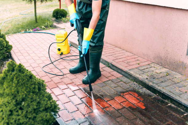 Best Residential Pressure Washing Services  in Dayton, WA