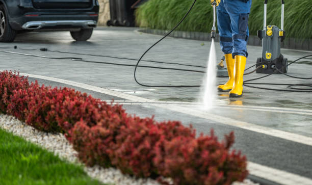 Best Roof Power Washing Services  in Dayton, WA