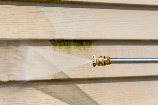 Local Pressure Washing Services in Dayton, WA