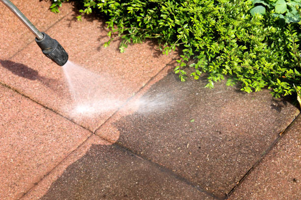 Best Power Washing Near Me  in Dayton, WA