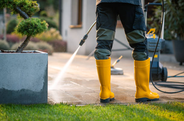 Best Residential Pressure Washing Services  in Dayton, WA